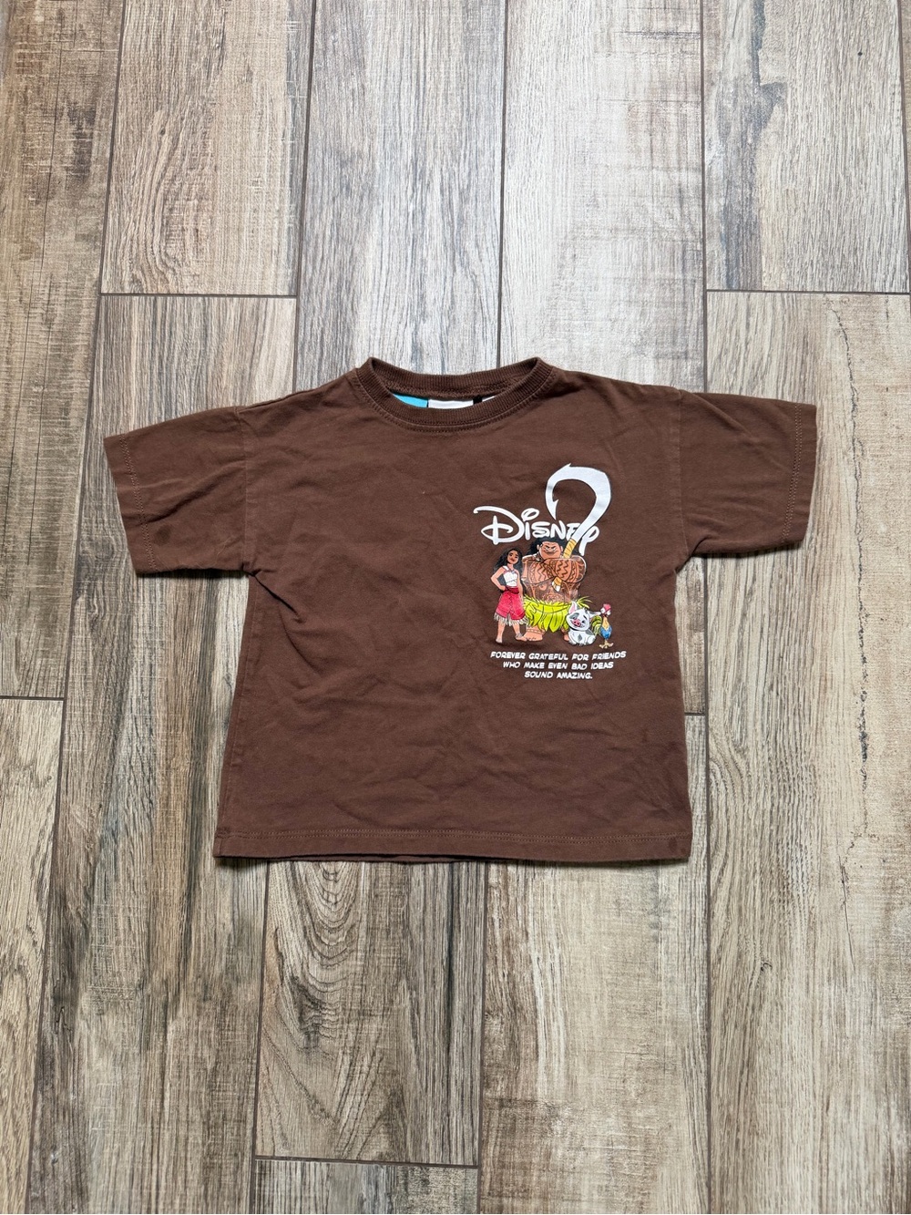 Zara Brown Disney Graphic Short Sleeve Tee